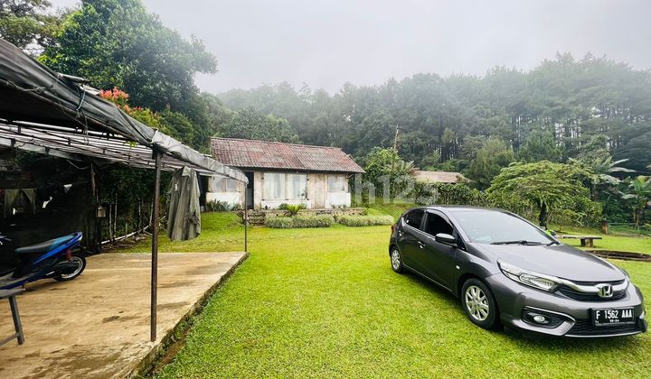 Selling Land with Mountain View in Ciapus, Bogor Selling Land with Mountain View in Ciapus, Bogor