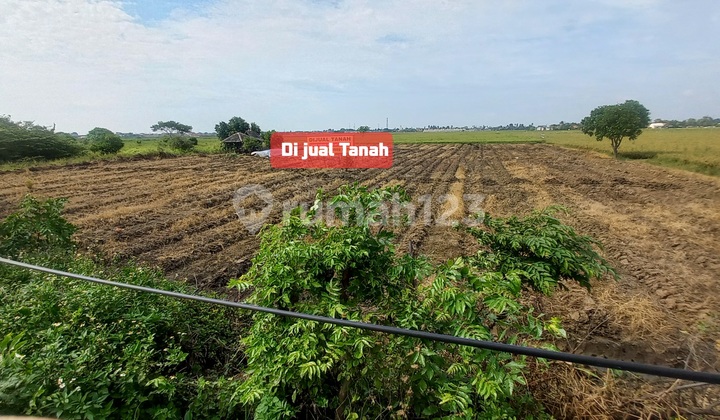 Jual Tanah Lokasi Super Strategis di Jalan Raya Babelan Dekat Fasilitas Umum