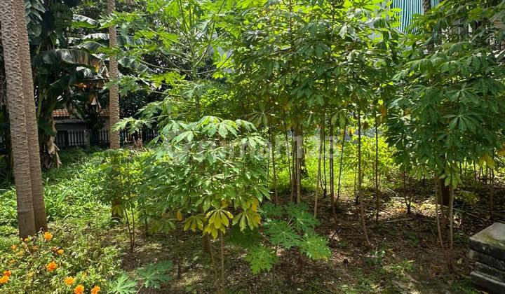 Tanah di Tebet Sangat Strategis di Selatan Jakarta