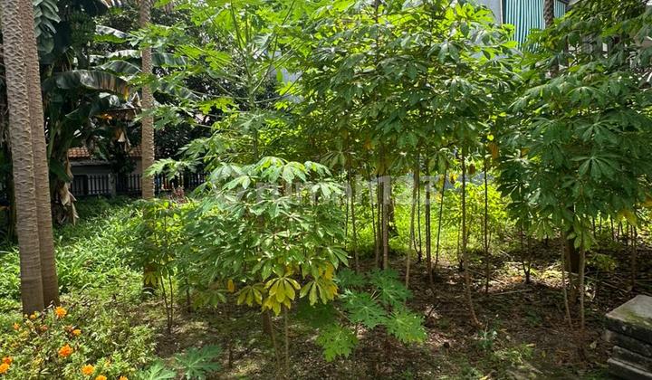 Tanah di Tebet Sangat Strategis di Selatan Jakarta