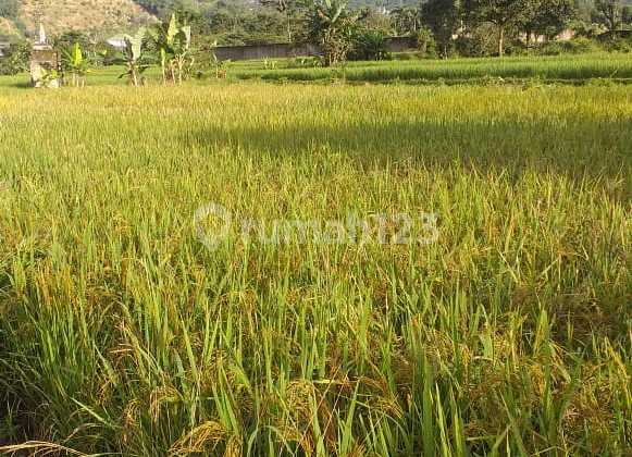 Land for Sale in West Bogor