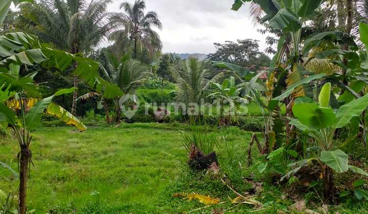 Tanah di Jual di Bogor