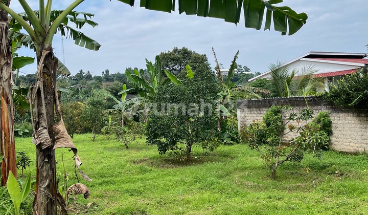 Good Land for Commercial Villa