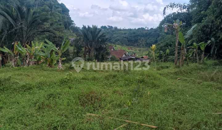 Tanah di Jual di Bogor