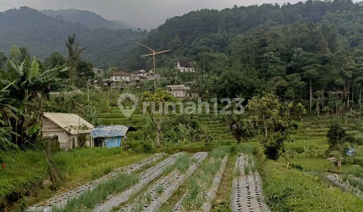 Tanah di Jual di Bogor