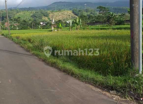 Land for Sale in West Bogor