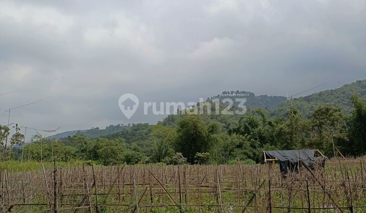 Tanah Bagus Buat Vila