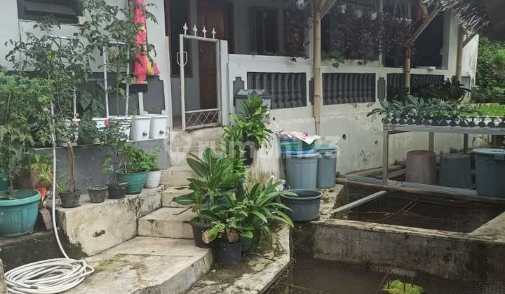 Fish Pond for Sale in Bogor