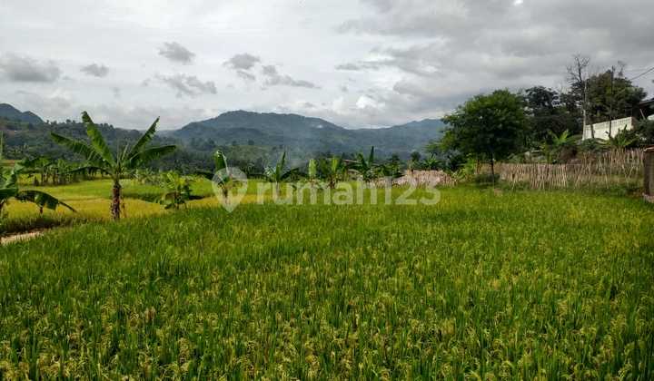 Tanah di Jual di Bogor