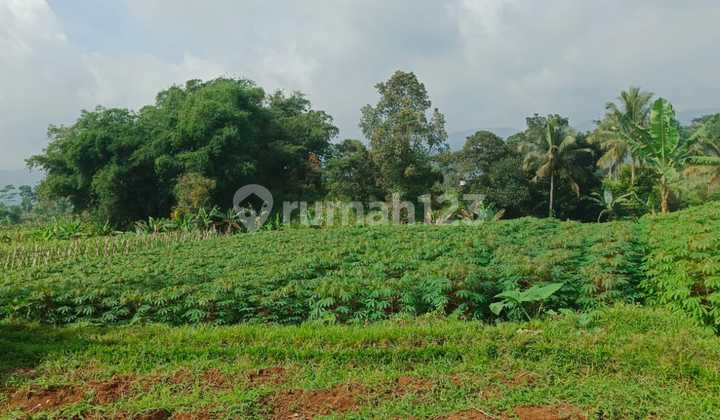 Tanah Dijual Area Bogor Barat