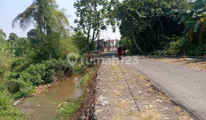 Tanah Murah di Bogor