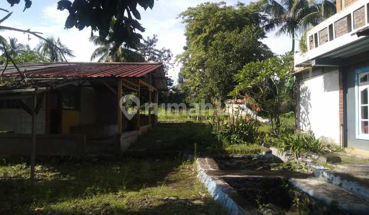 Sell Land in Bogir Barat