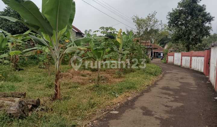 Tanah di Jual Tanah di Jual