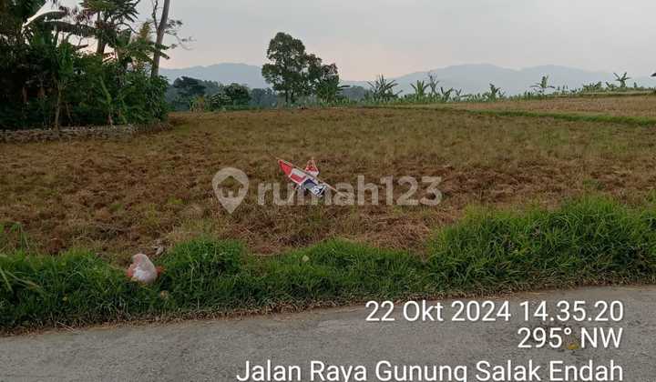 Tanah Bagus Buat Vila Atu Buat Usaha