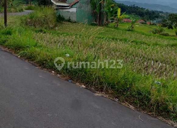 Tanah di Jual di Bogor Tanah di Jual di Bogor