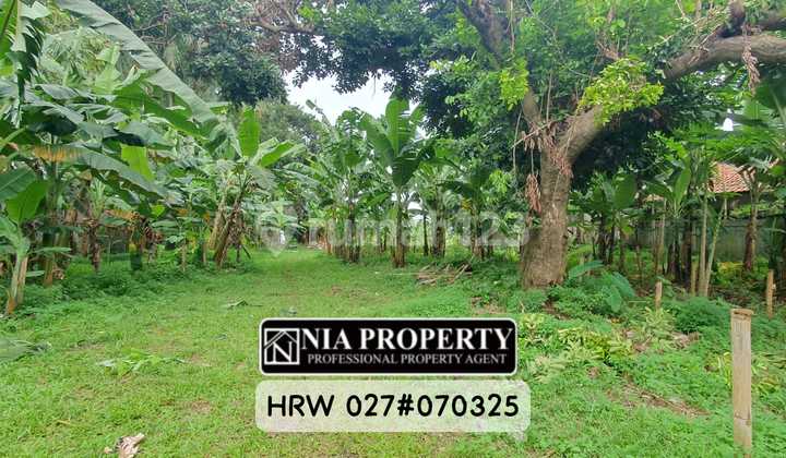 Tanah 6.000 M² di Lokasi Premium Dekat Citra Grand Cibubur Tanah 6.000 M² di Lokasi Premium Dekat Citra Grand Cibubur