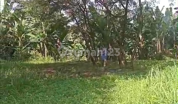 Di Jual Tanah di Daerah Cipayung Jakarta Timur