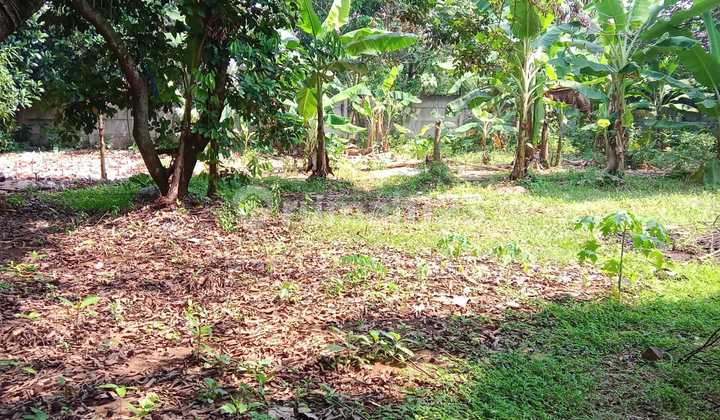 For Sale: Garden Land in Cimuning Area, Bekasi For Sale: Garden Land in Cimuning Area, Bekasi