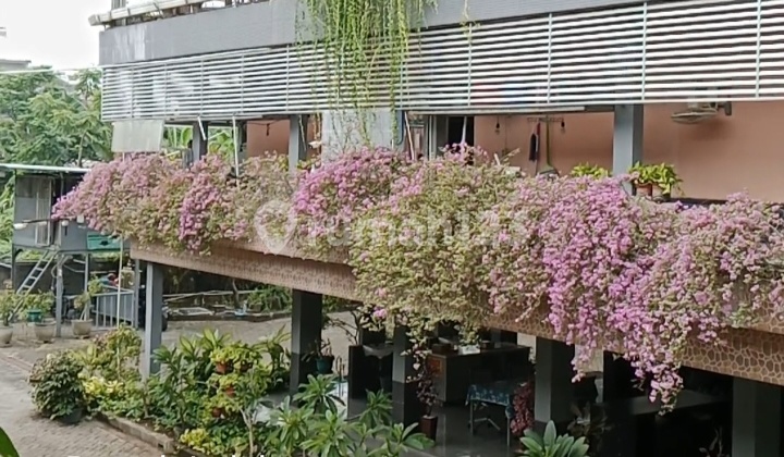 Rumah Kos Aktif Siap Oper