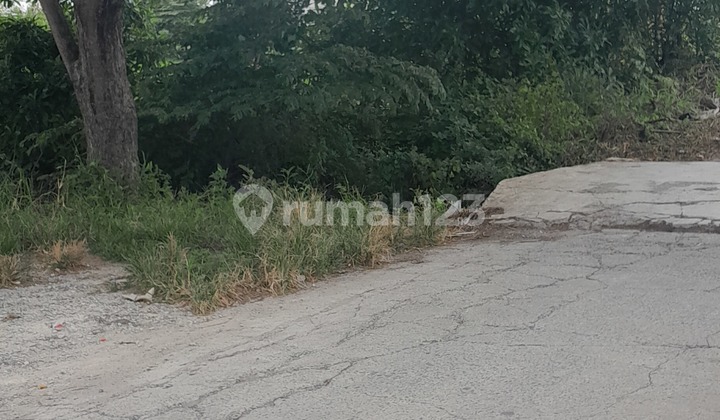 The Land is Already Bustling Near the Settlement