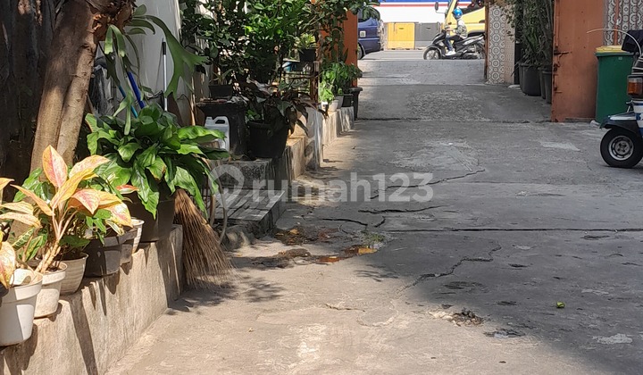 ******** Kampus ******** ******** Kampus ********