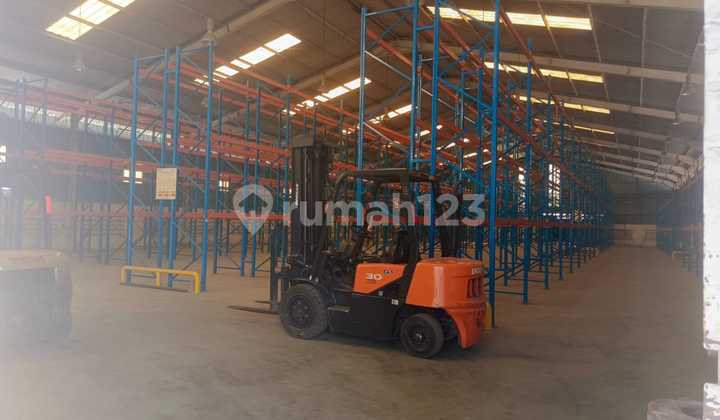 Tidy Warehouse Near Toll Tidy Warehouse Near Toll