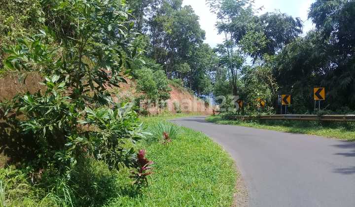Land Near Main Road Access.