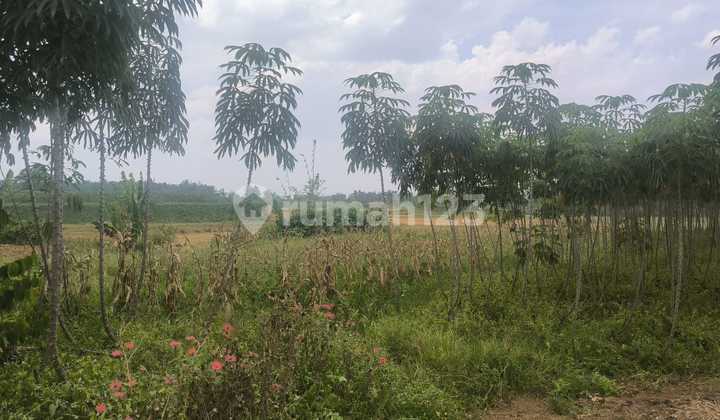 Tanah Potensial Komersil di Patumbak Tanah Tanah Potensial Komersil di Patumbak Tanah