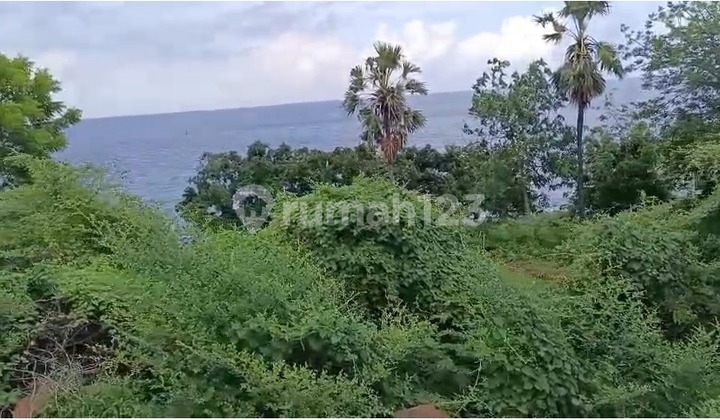 Strategic and Potential Land in Amed Suitable for Hotel and Villa Accommodation Business