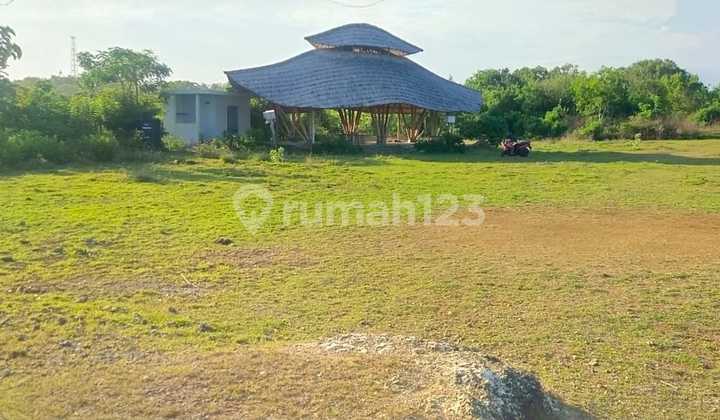 Land Area 1 Hectare Los Tebing Pandawa