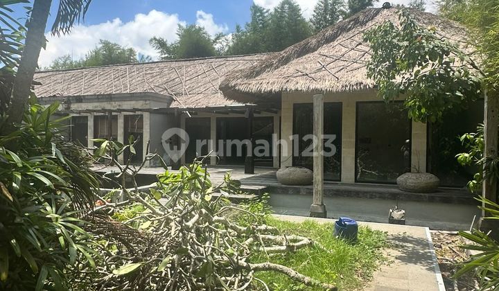 51.39 Are Of Raw Potential With 12 Villas Included 2