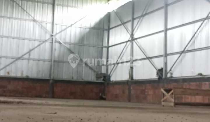 Warehouse for Rent, Tidy in Curug Parigi