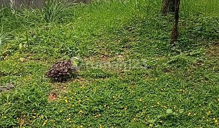 Ready-to-Build Land Plot in Turangga Buah Batu Ready-to-Build Land Plot in Turangga Buah Batu