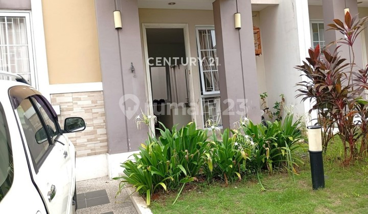 Rapi House The Savia Bsd City 7672 2