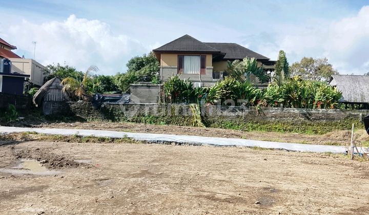 Cheap Land Plot Rental in Dalung