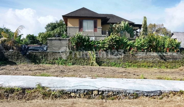 Cheap Land Plot Rental in Dalung