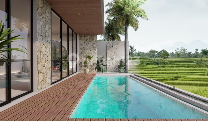 Villa 3 Lantai Pemandangan Sawah Asri di Padonan