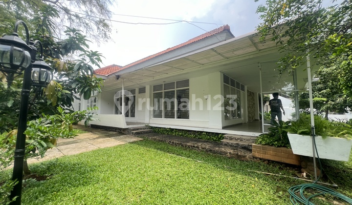 Disewakan Rumah Siap Huni bisa untuk Komersil di Menteng Disewakan Rumah Siap Huni bisa untuk Komersil di Menteng