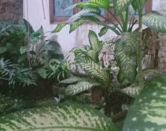 Dijual Rumah Terawat Duren Sawit Jakarta Timur 2