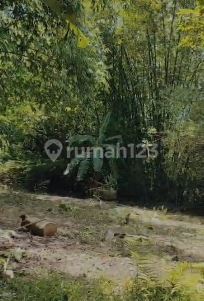 For Sale Flood-Free Land in Cisoka Tangerang