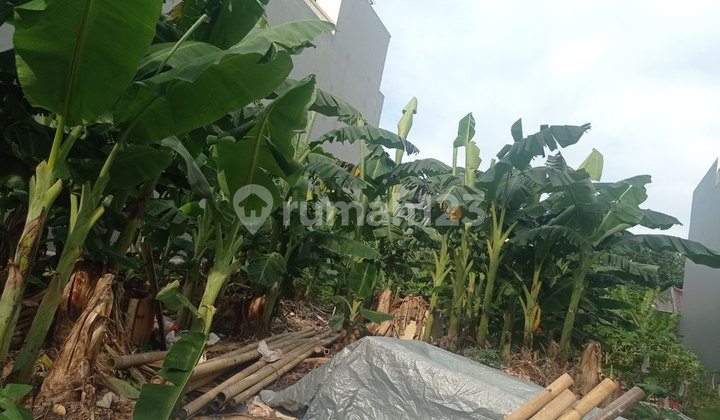 Dijual Lahan Kosong di Menteng Lokasi Strategis