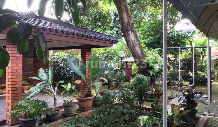 Dijual Rumah 2 Bangunan Sangat Terawat Model Back To Back