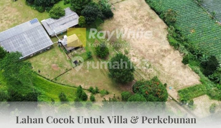 Lahan Cocok di Bangun Hotel, Villa, Ranch, Cafe, Restoran, & Perkebunan di Caringin, Bogor.