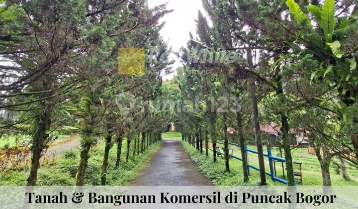 Land and Building for Sale in Puncak - Cisarua, Bogor.