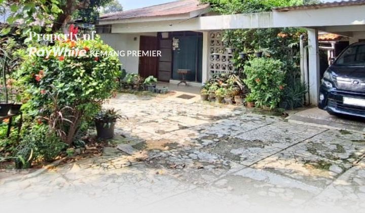 Rumah Lama Hitung Tanah Harga Dibawah Pasar Jarang Ada Rumah Lama Hitung Tanah Harga Dibawah Pasar Jarang Ada