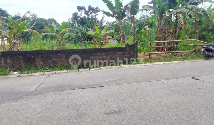 Disewakan Tanah Luas di Pinggir Jalan Raya