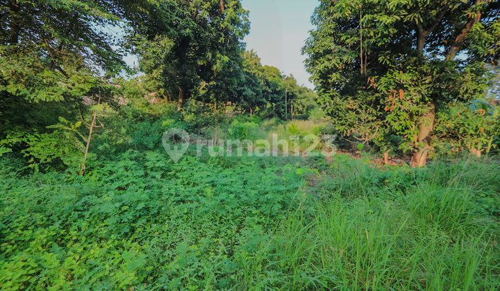 Land 5000M2 Karang Tengah, Near Green Lake City, Metland Puri Land 5000M2 Karang Tengah, Near Green Lake City, Metland Puri
