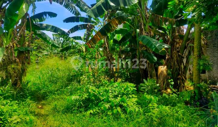 Kavling Siap Bangun di Serua Ciputat 15 Menit ke Bsd Kavling Siap Bangun di Serua Ciputat 15 Menit ke Bsd