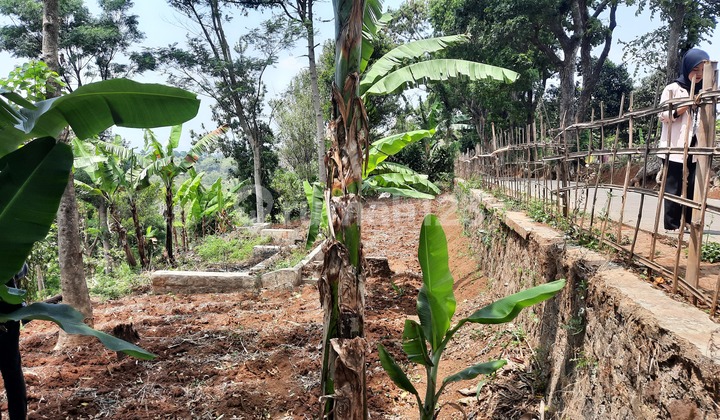 Plot of Land 463M, Electricity & Water Ready in Palasari Cipadung