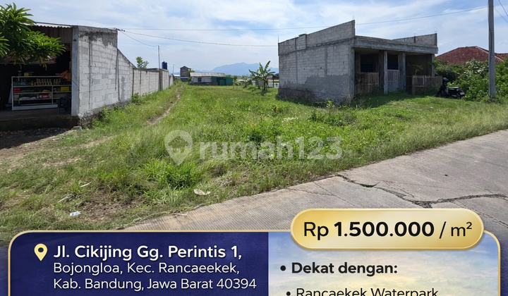 Lahan Matang 295M² di Rancaekek Lebar 11 Meter